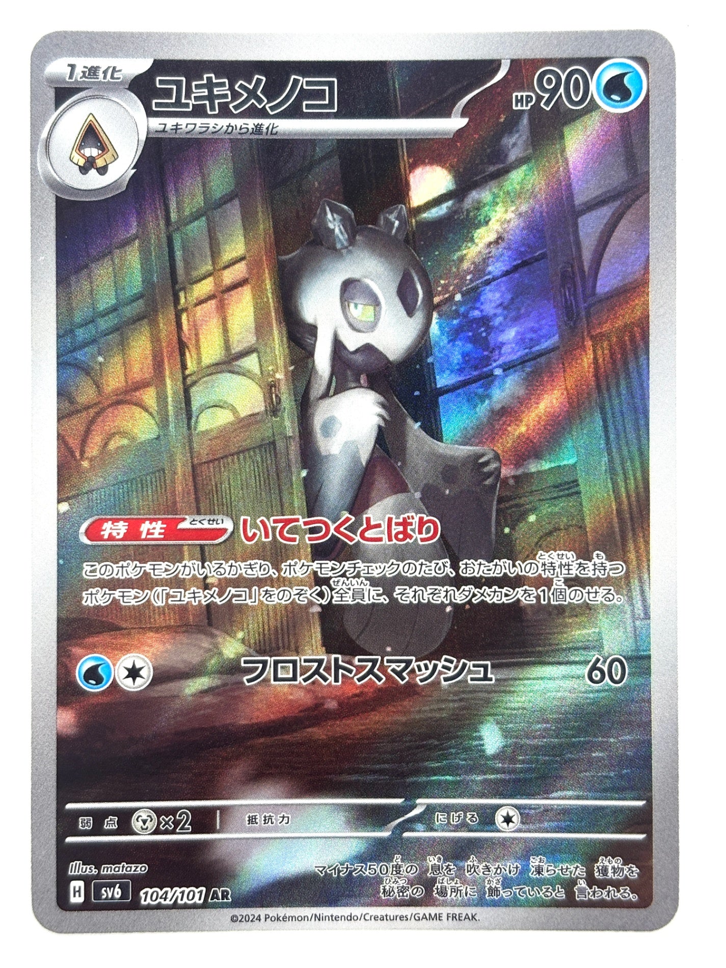 104/101/SV6/B ユキメノコ