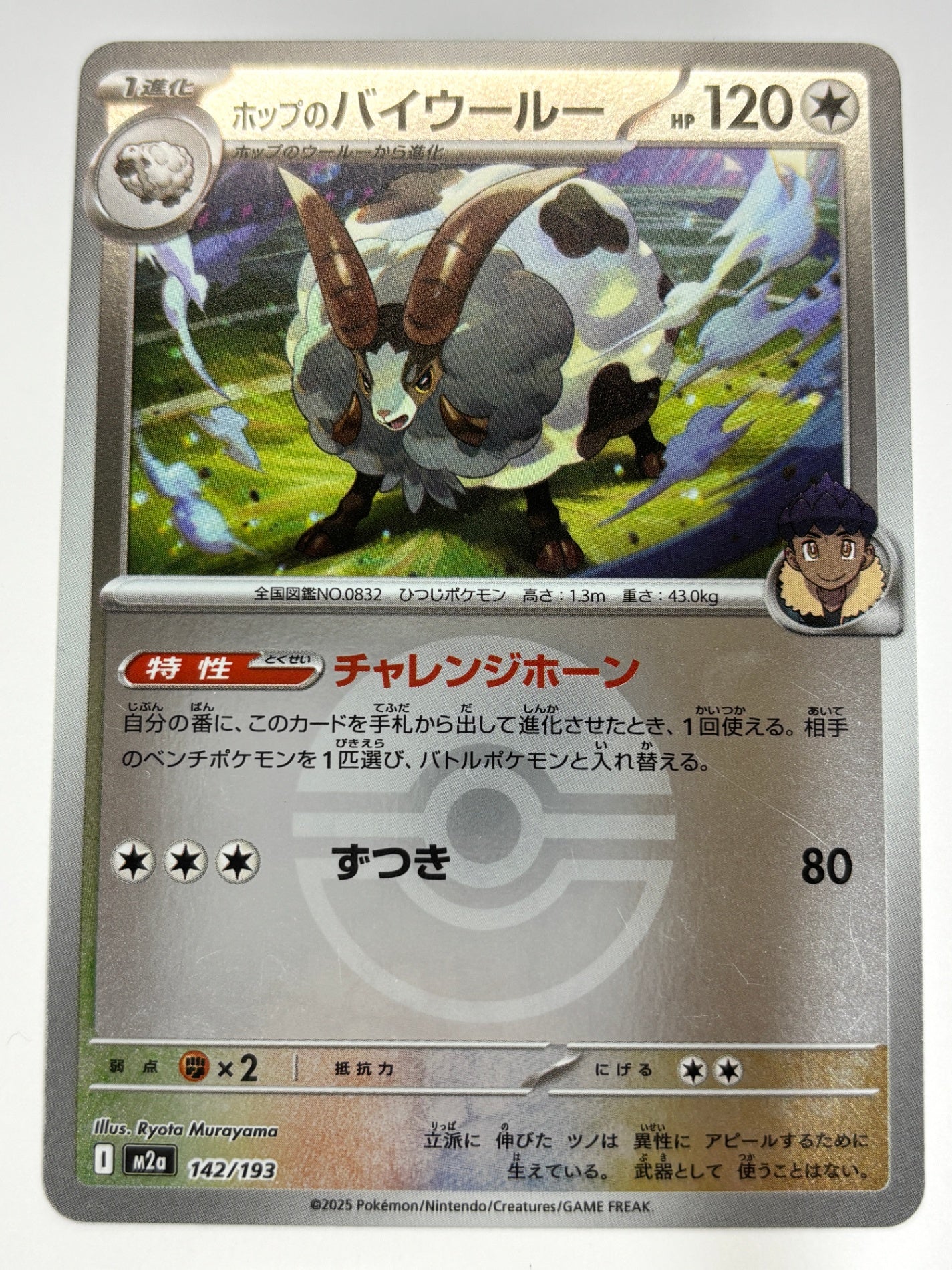 142/193 ミラー)ホップのバイウールー(ボール柄)