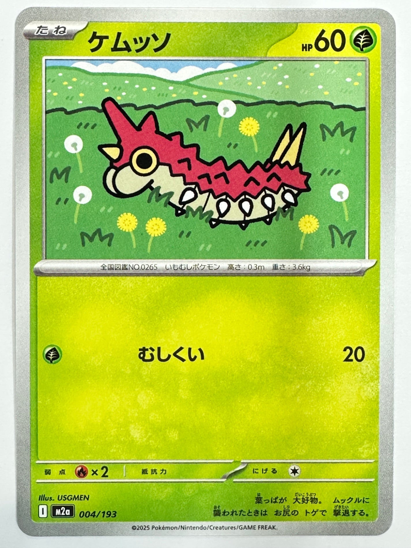 004/193 ケムッソ