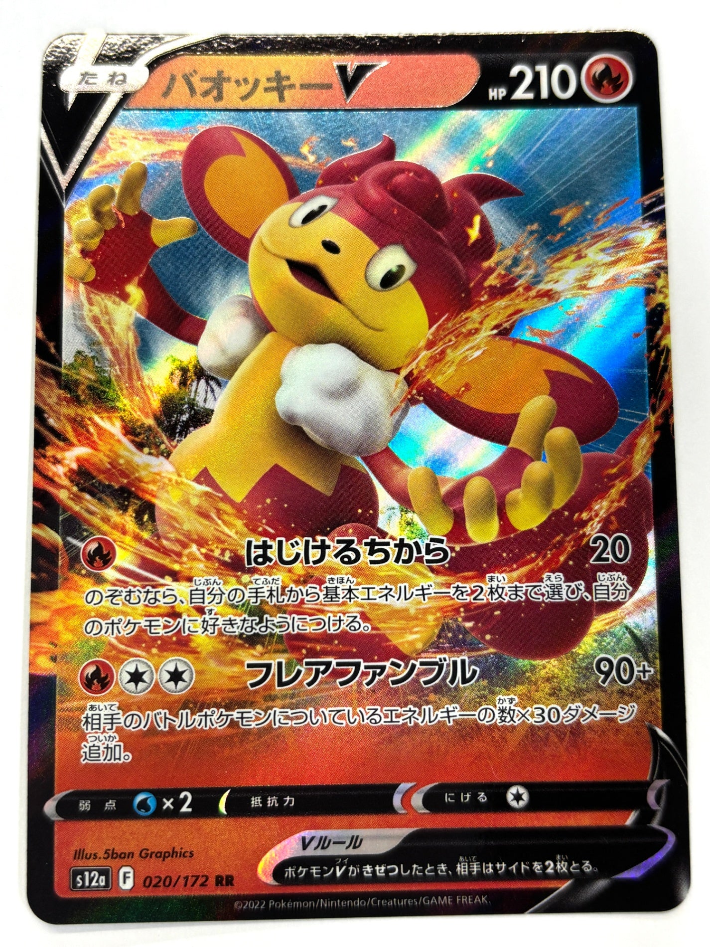 020/172/S12A/B バオッキーV