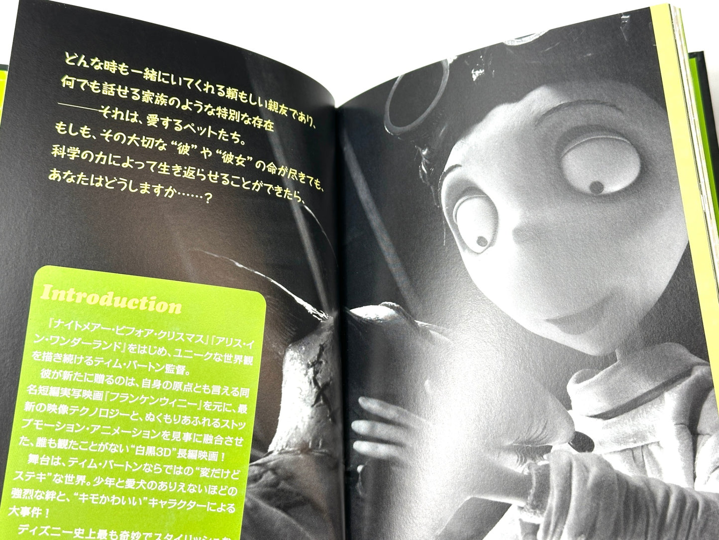 ディズニー FRANKENWEENIE フランケン・ウィニー グッズ まとめセット ブロックカレンダー 3Dクリアファイル 他 ティム・バートン 12/18