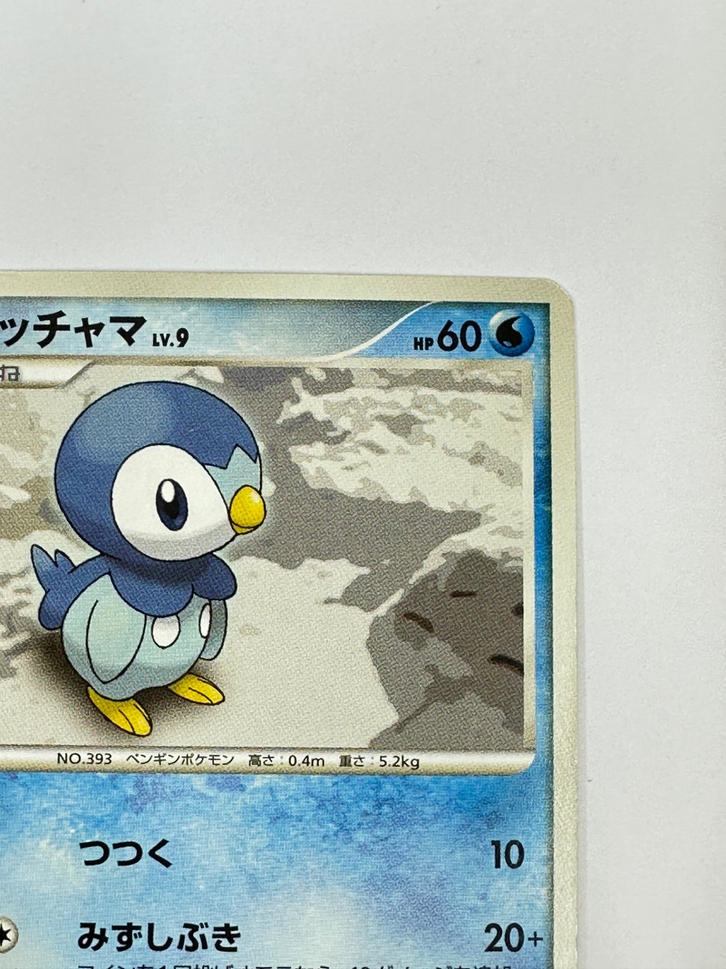 DPBP#454 ポッチャマ