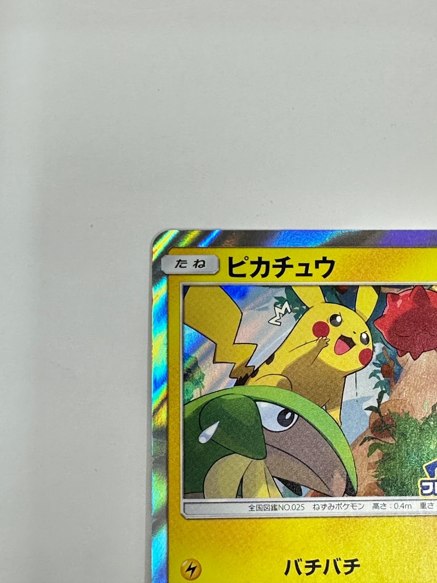 227/SM-P ピカチュウ　【状態C】