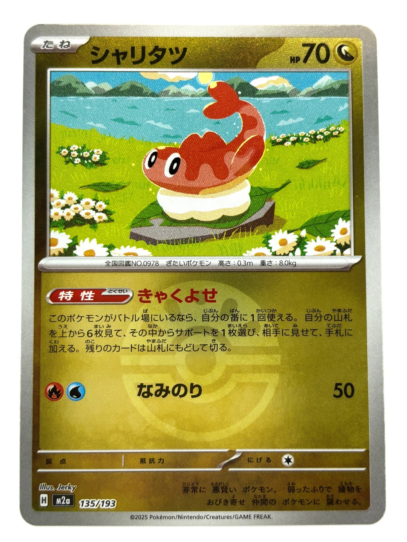 135/193 ミラー)シャリタツ(ボール柄)