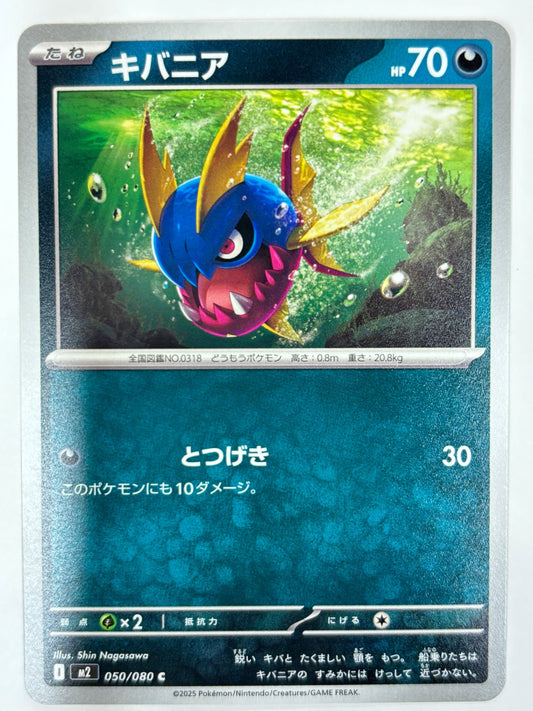 050/080 キバニア