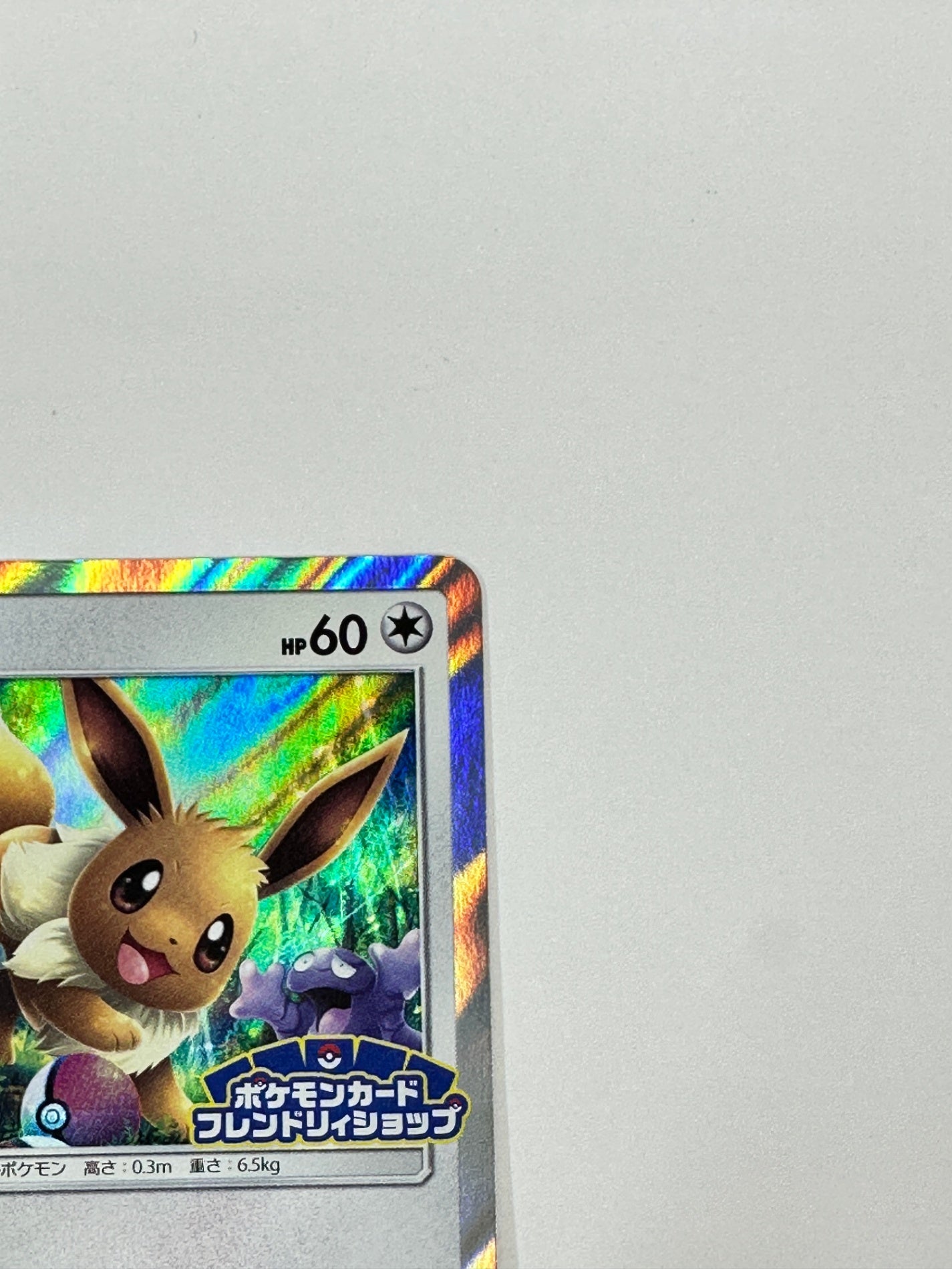 306/SM-P イーブイ　【状態B】