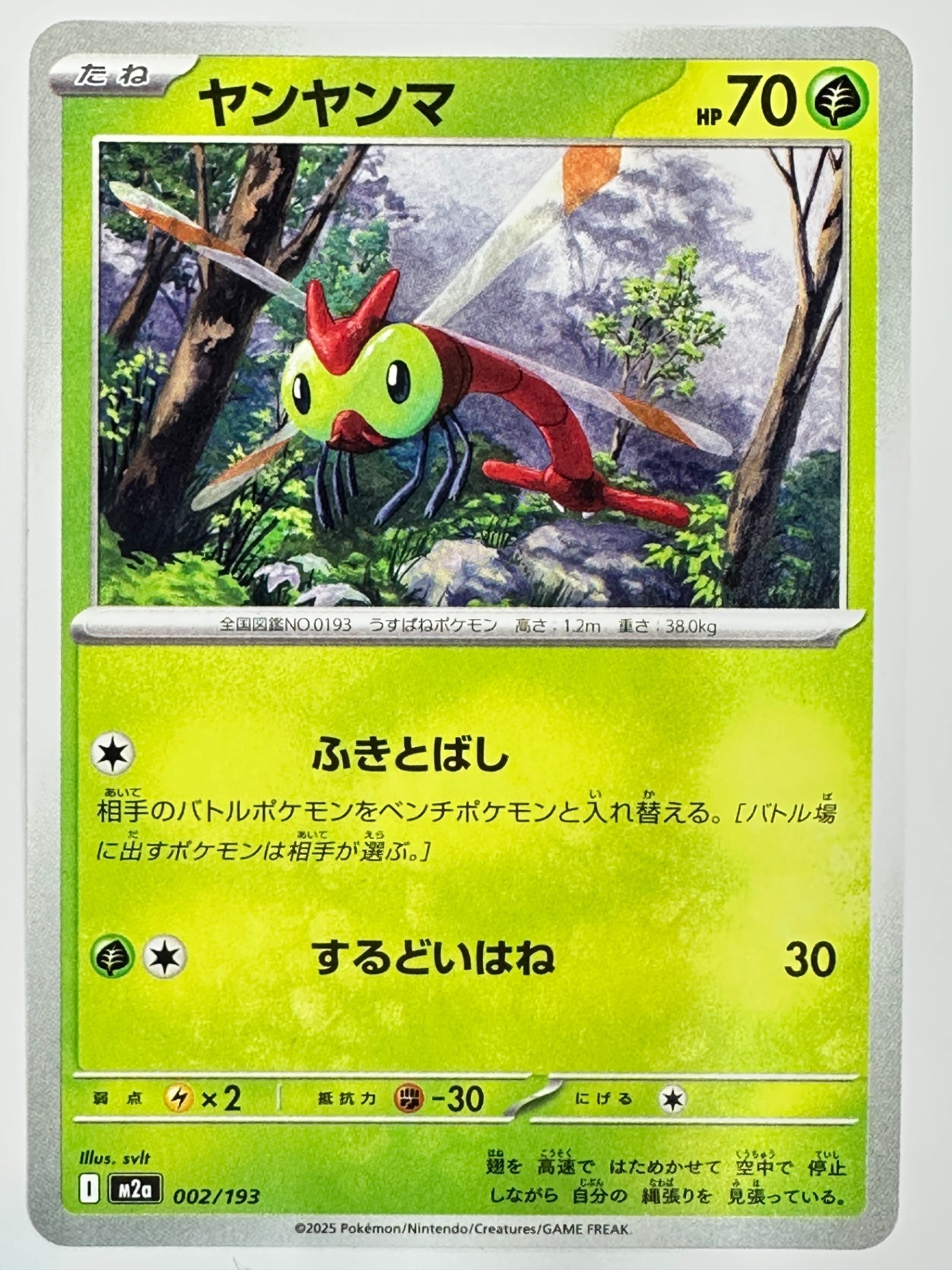 002/193 ヤンヤンマ