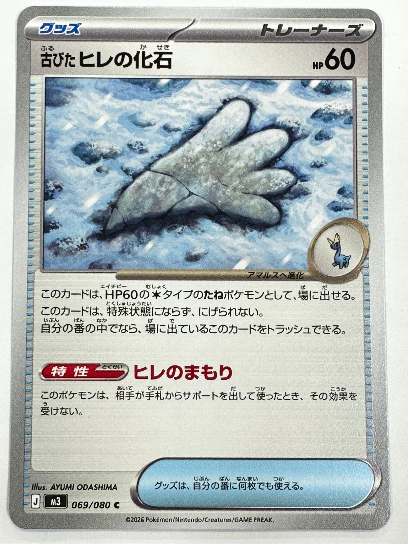 069/080 古びたヒレの化石