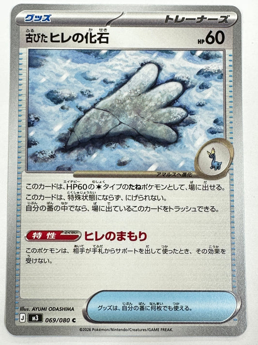 069/080 古びたヒレの化石