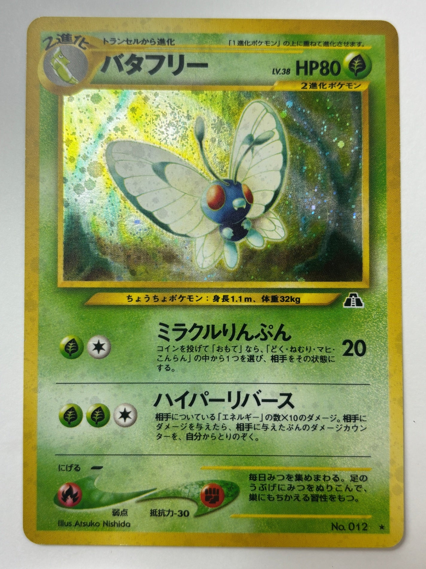 LV38HP80NO012-NEO2 バタフリー(右中央:遺跡)