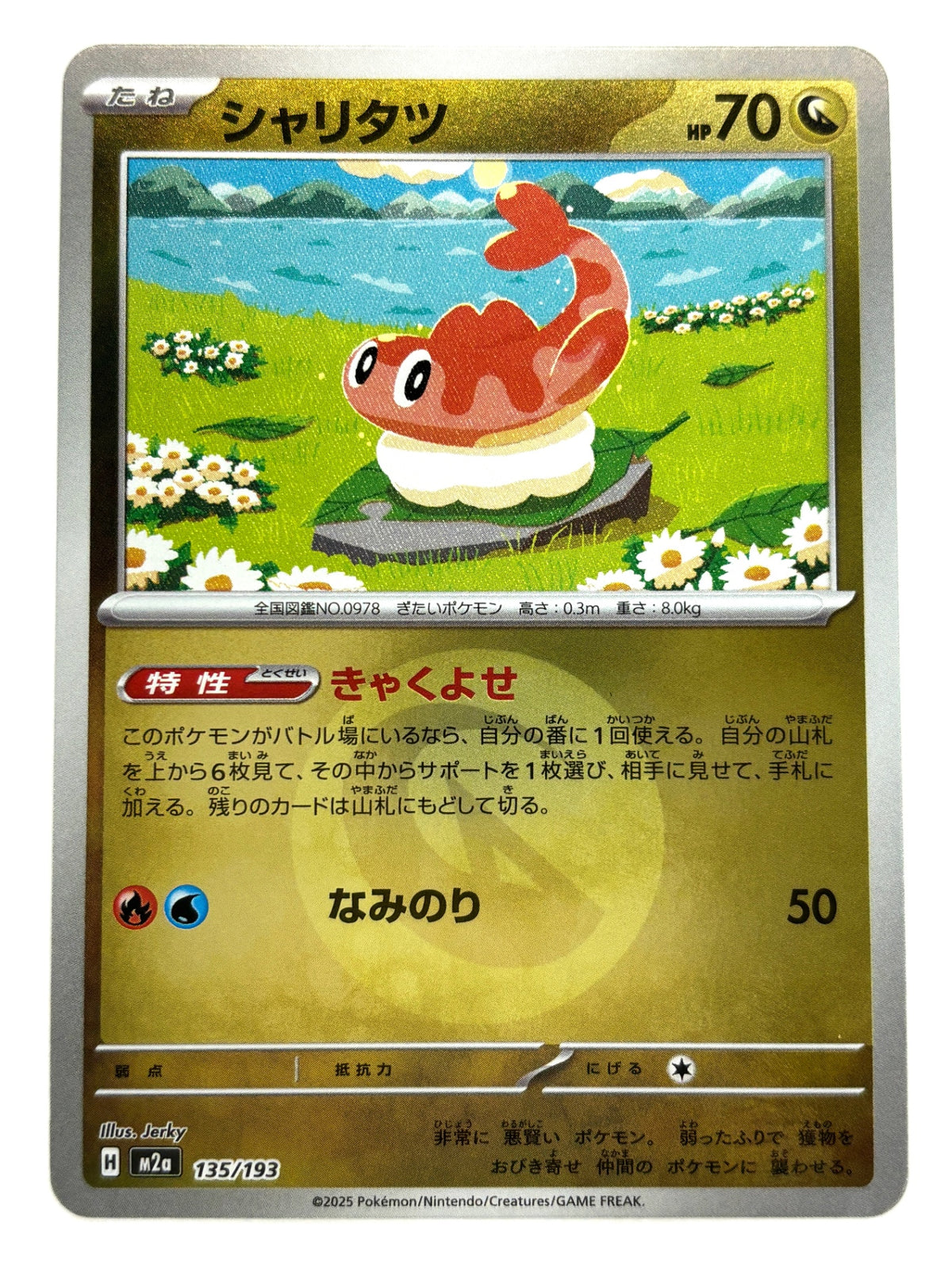 135/193 ミラー)シャリタツ(エネルギー柄)