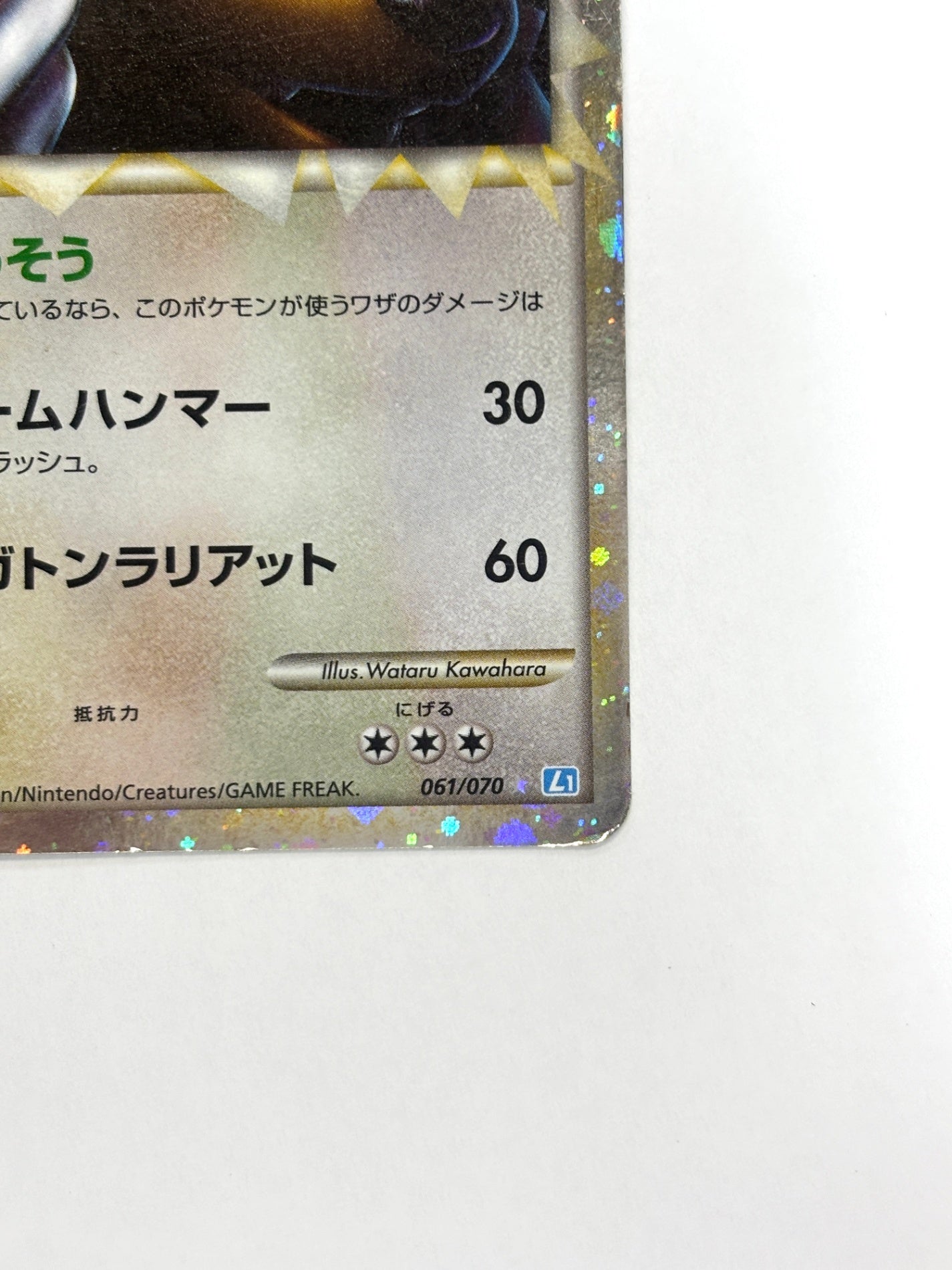 061/070 1ED)リングマ