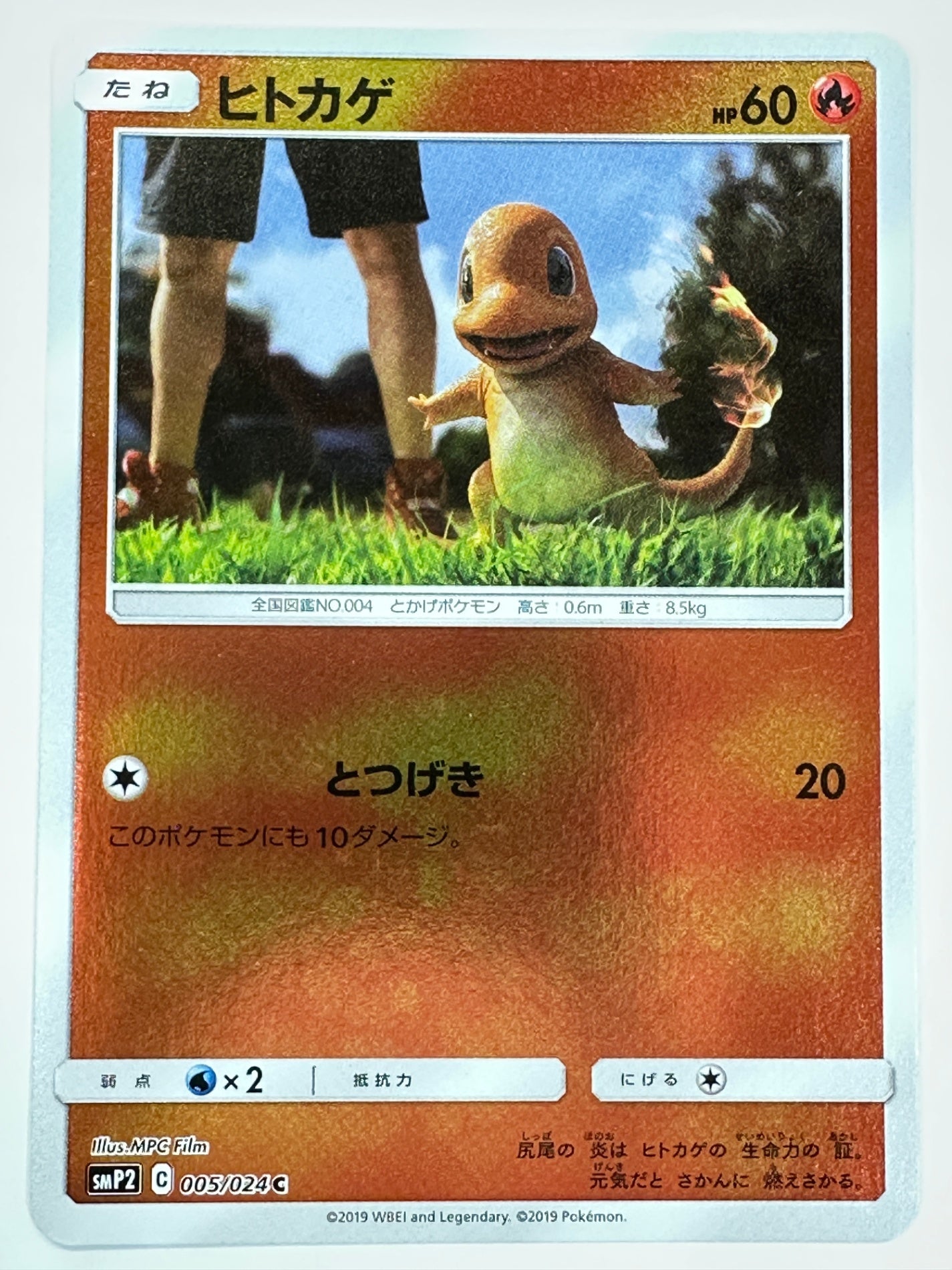 005/024 ヒトカゲ