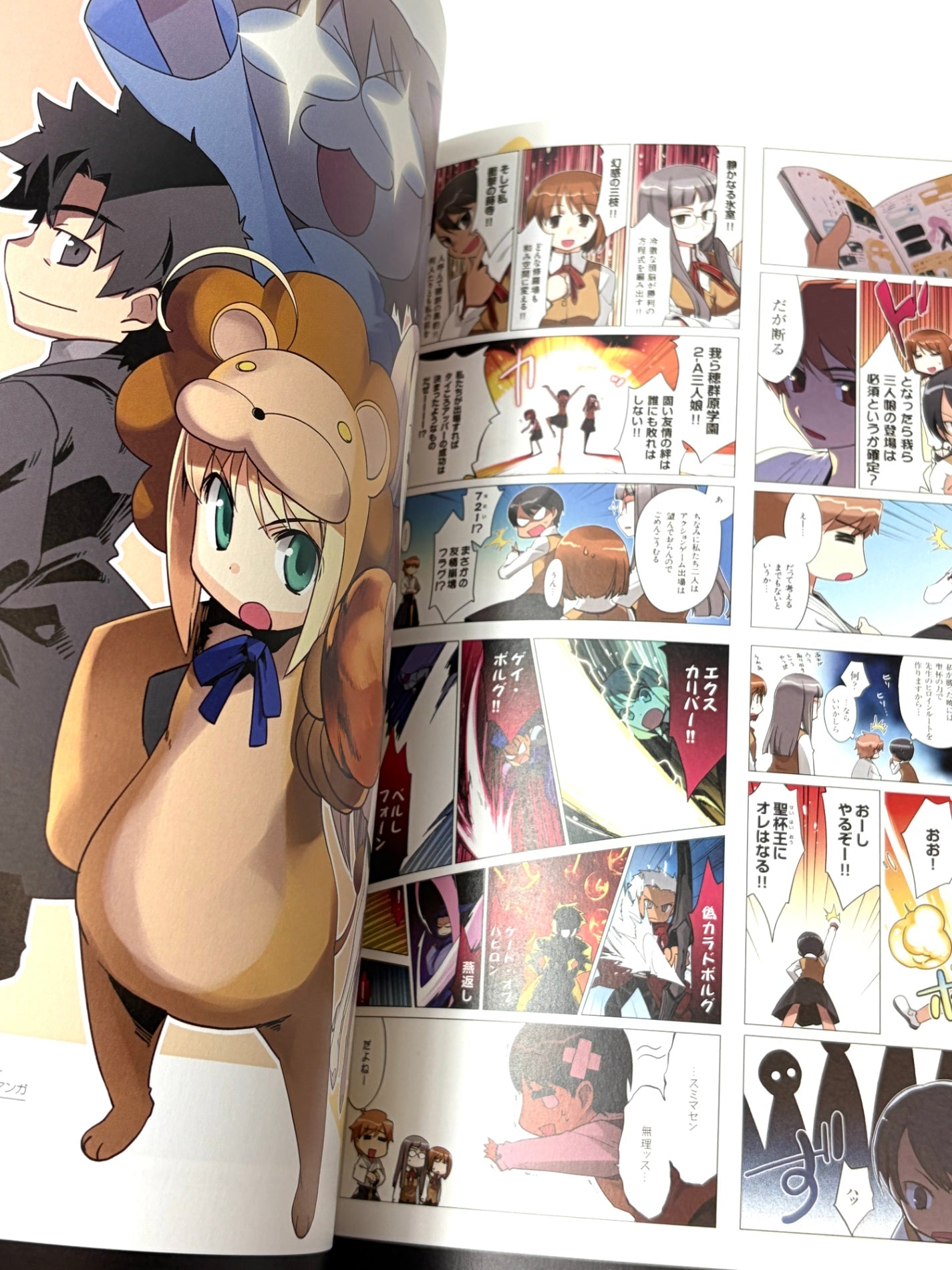 Fate/complete material IV Extra material. STANDARD EDITION (TECHGIAN STYLE)