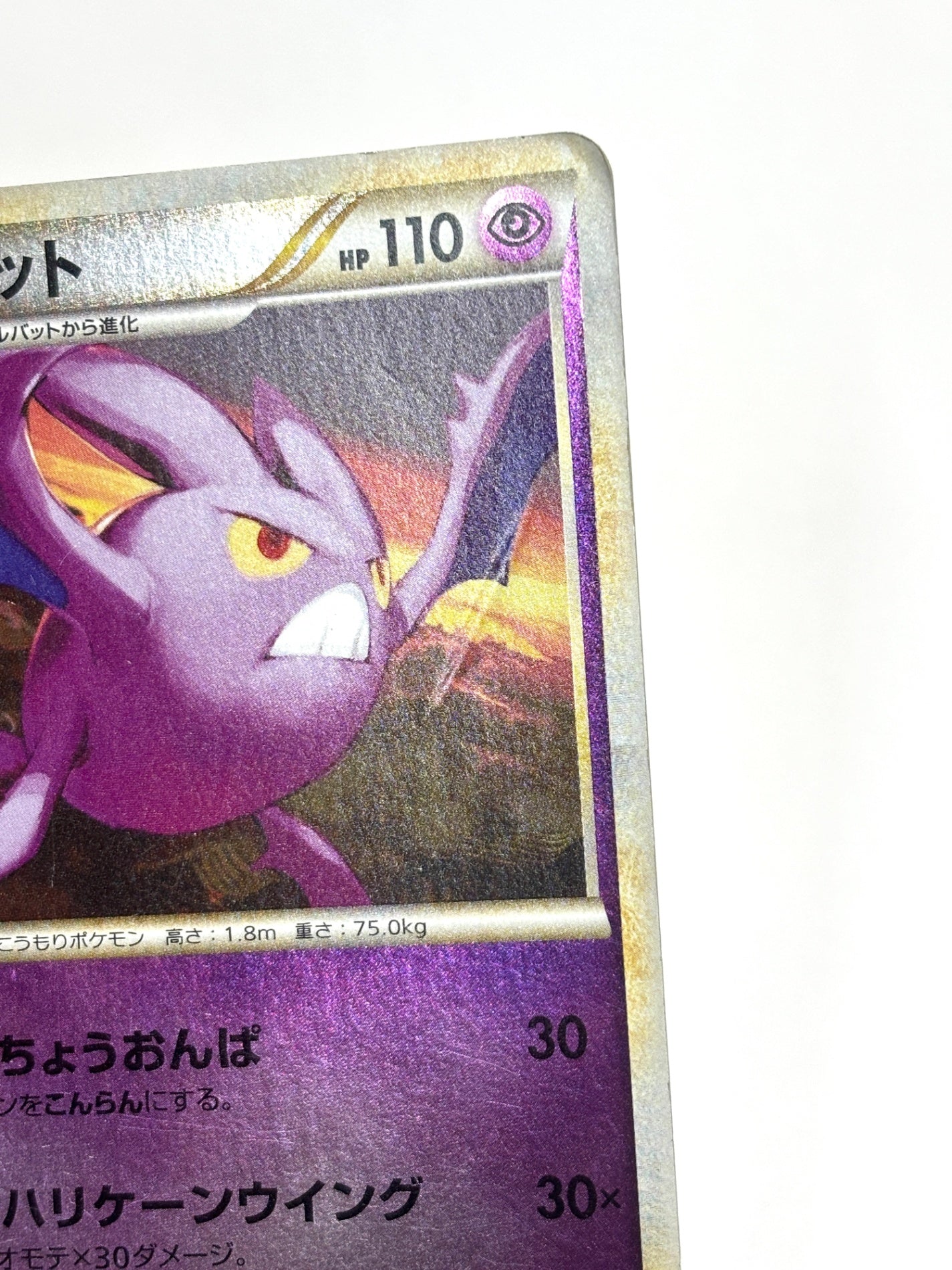 036/070 1ED)クロバット