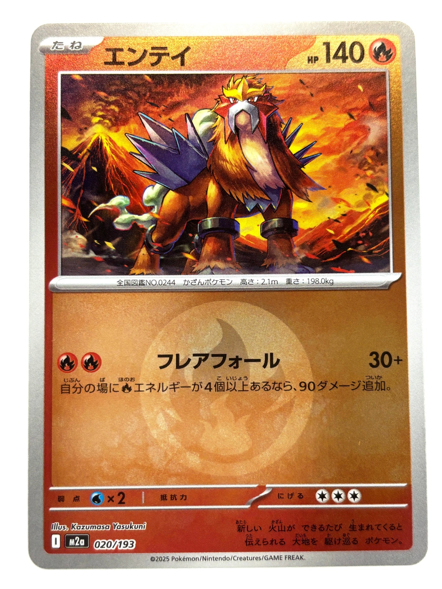 020/193 ミラー)エンテイ(エネルギー柄)