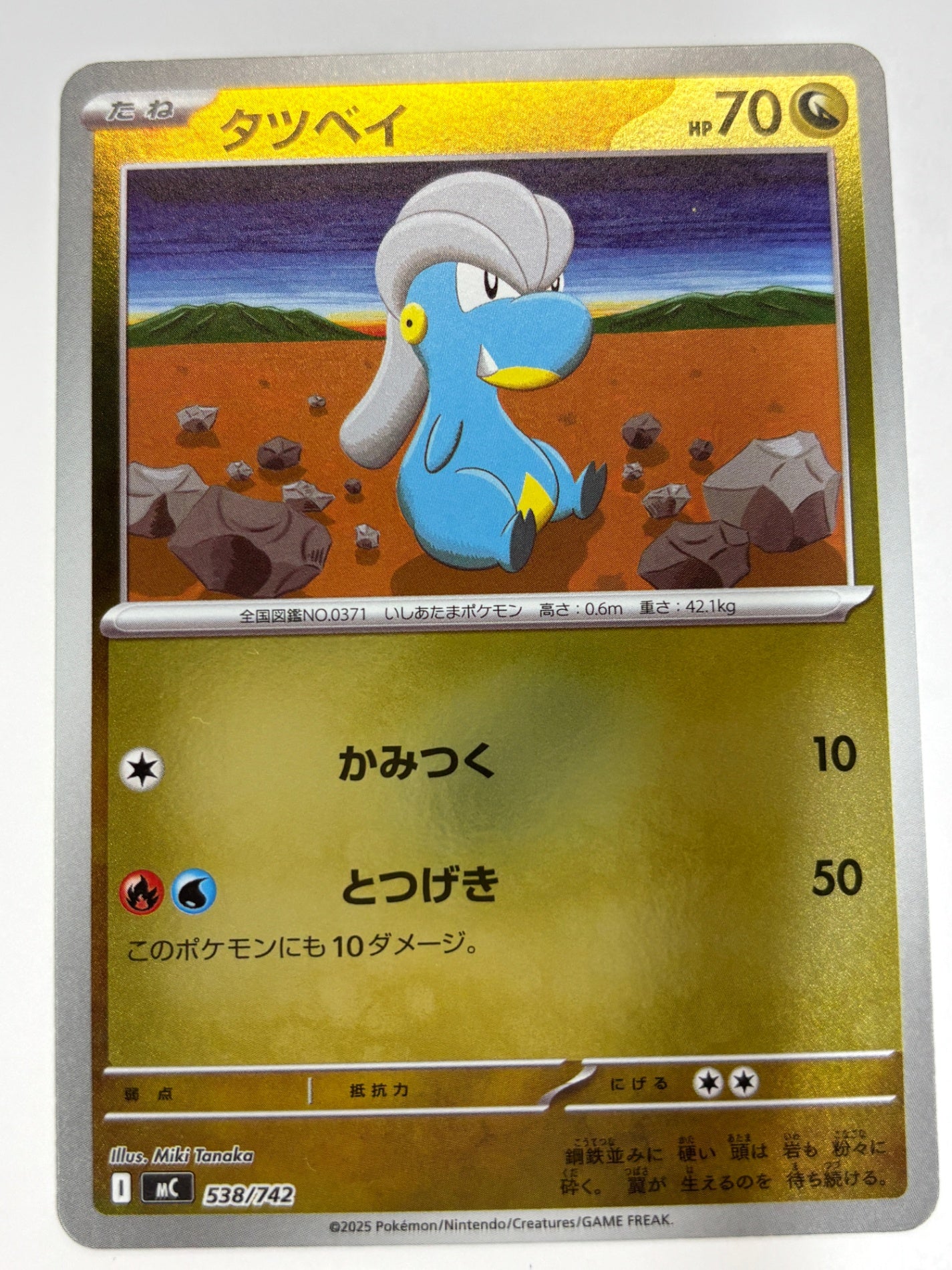 538/742 ミラー仕様)タツベイ