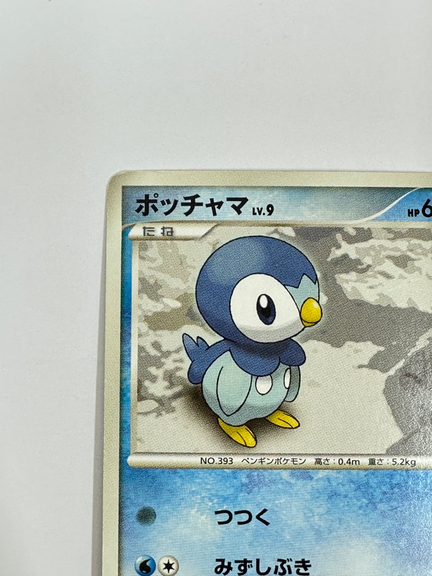 DPBP#454 ポッチャマ