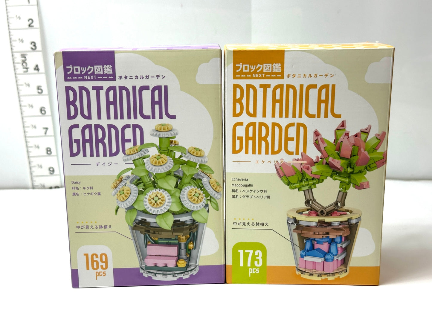 ブロック図鑑NEXT ボタニカルガーデン デイジー エケベリア 2個セット 3/13