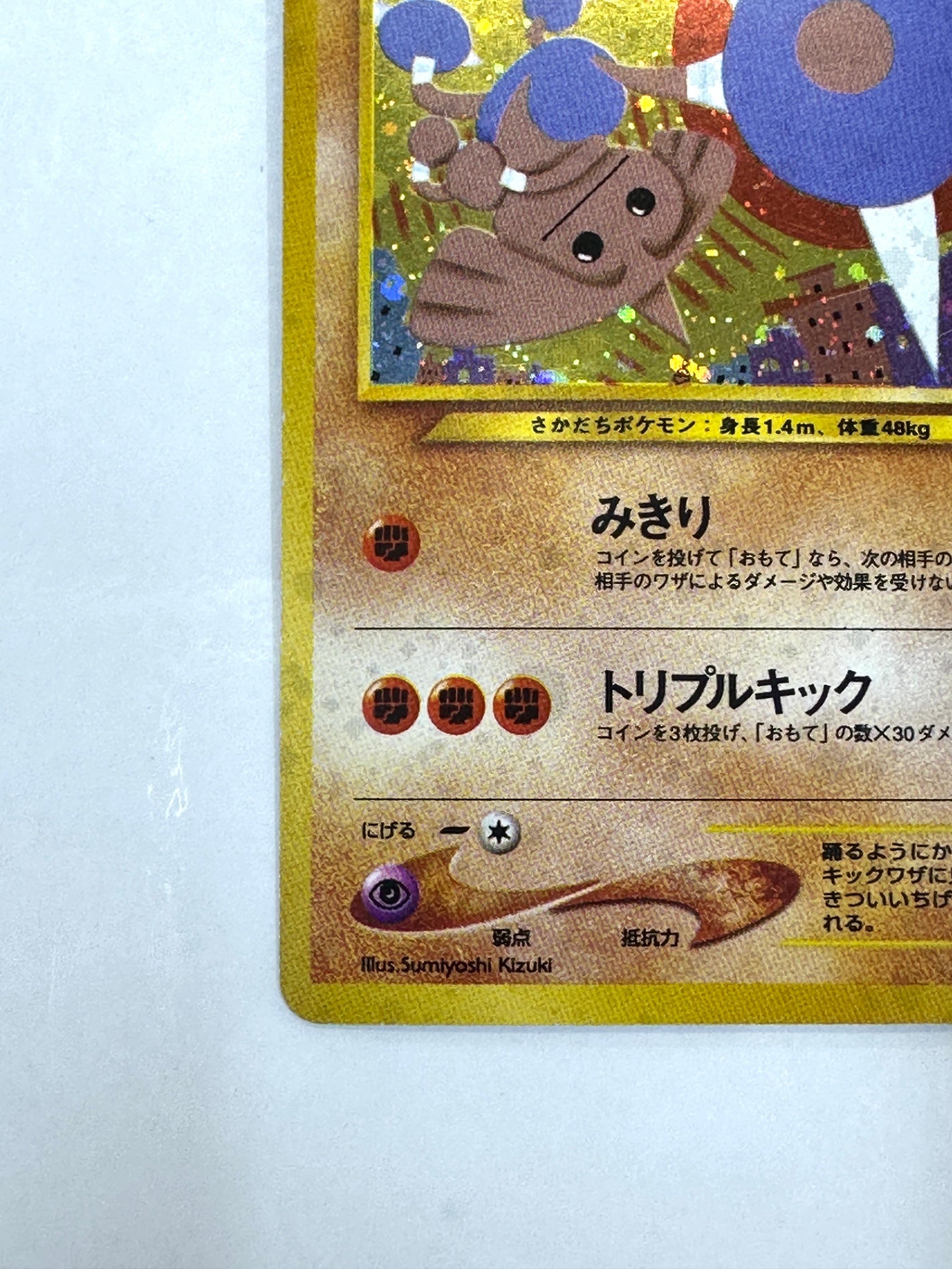 LV31HP60NO237-NEO2 カポエラー(右中央:遺跡) 【状態C】