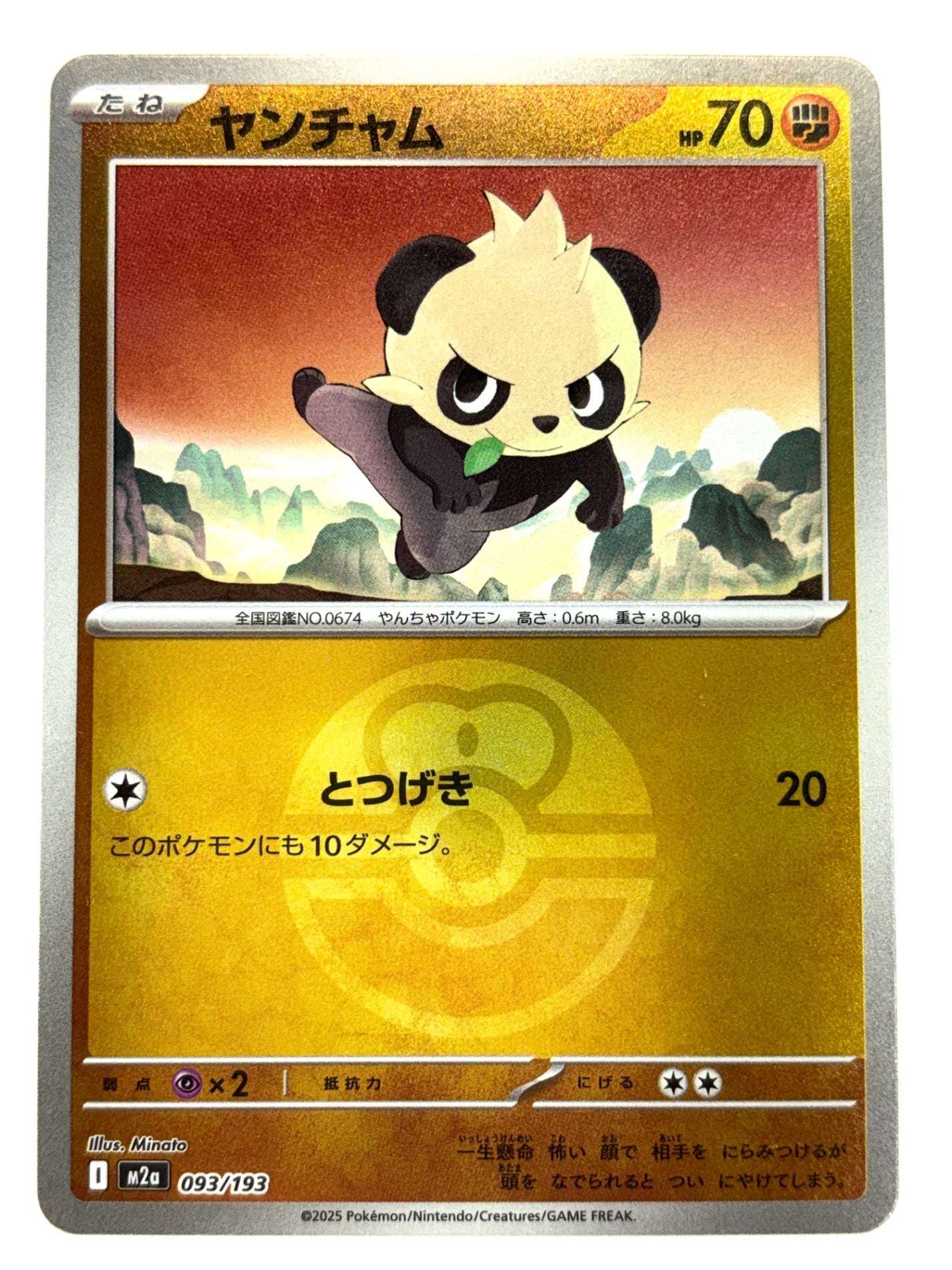 093/193 ミラー)ヤンチャム(ボール柄)