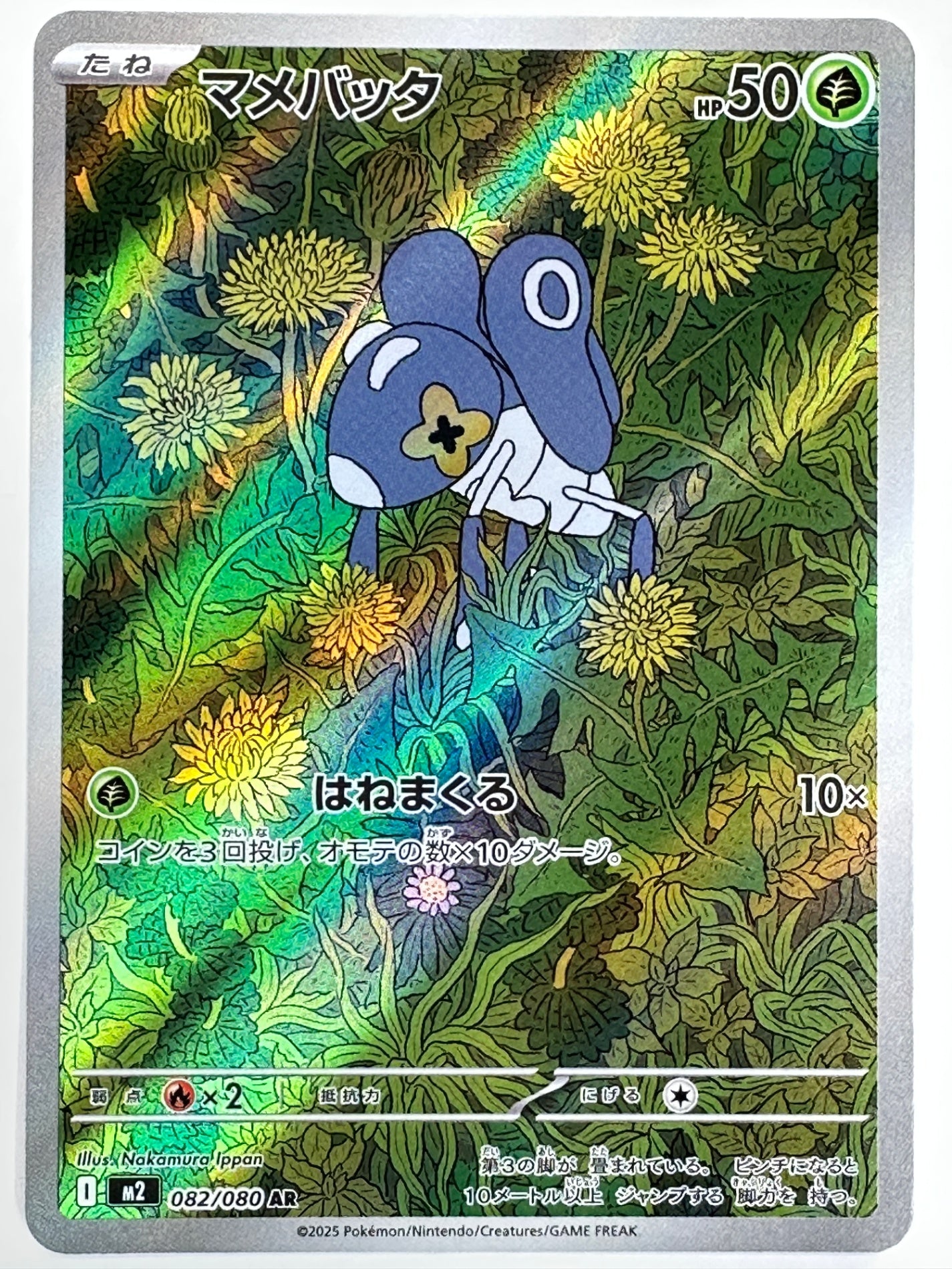 082/080 マメバッタ