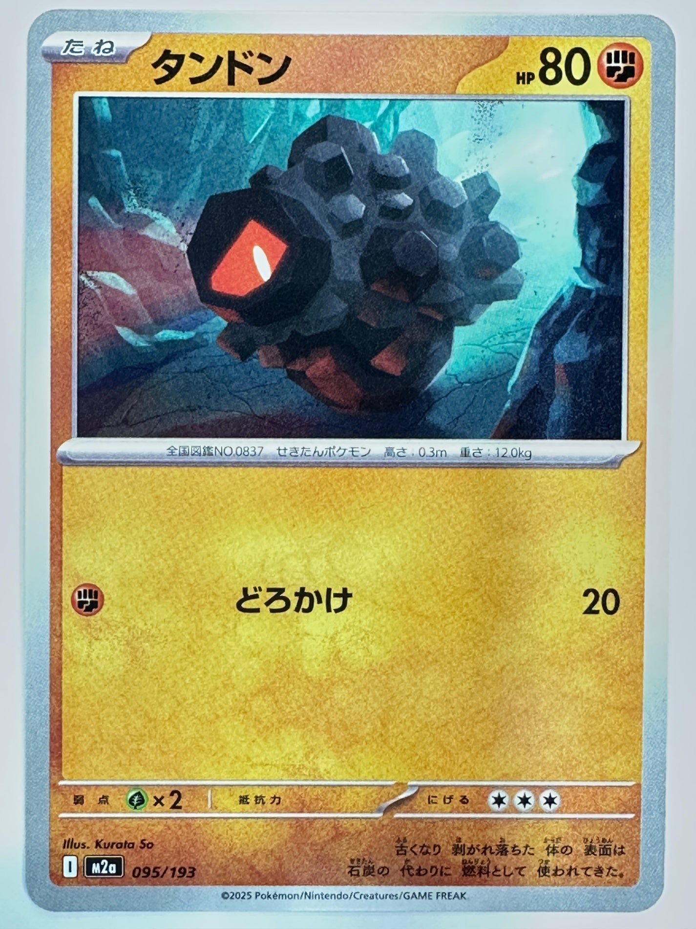 095/193 タンドン