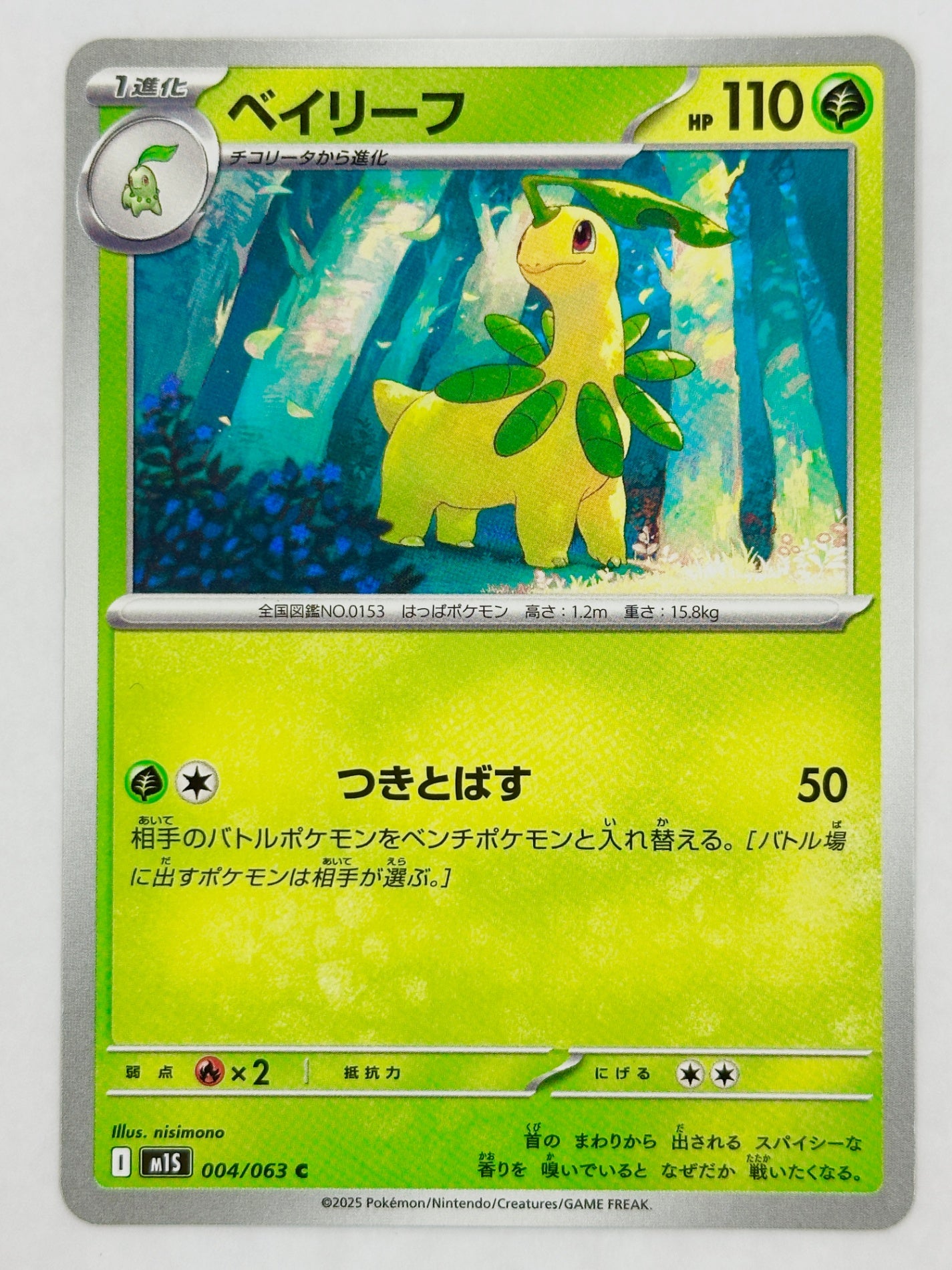 004/063 ベイリーフ