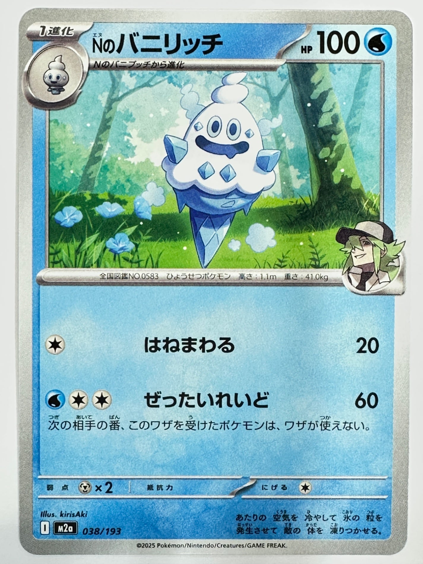 038/193 Nのバニリッチ