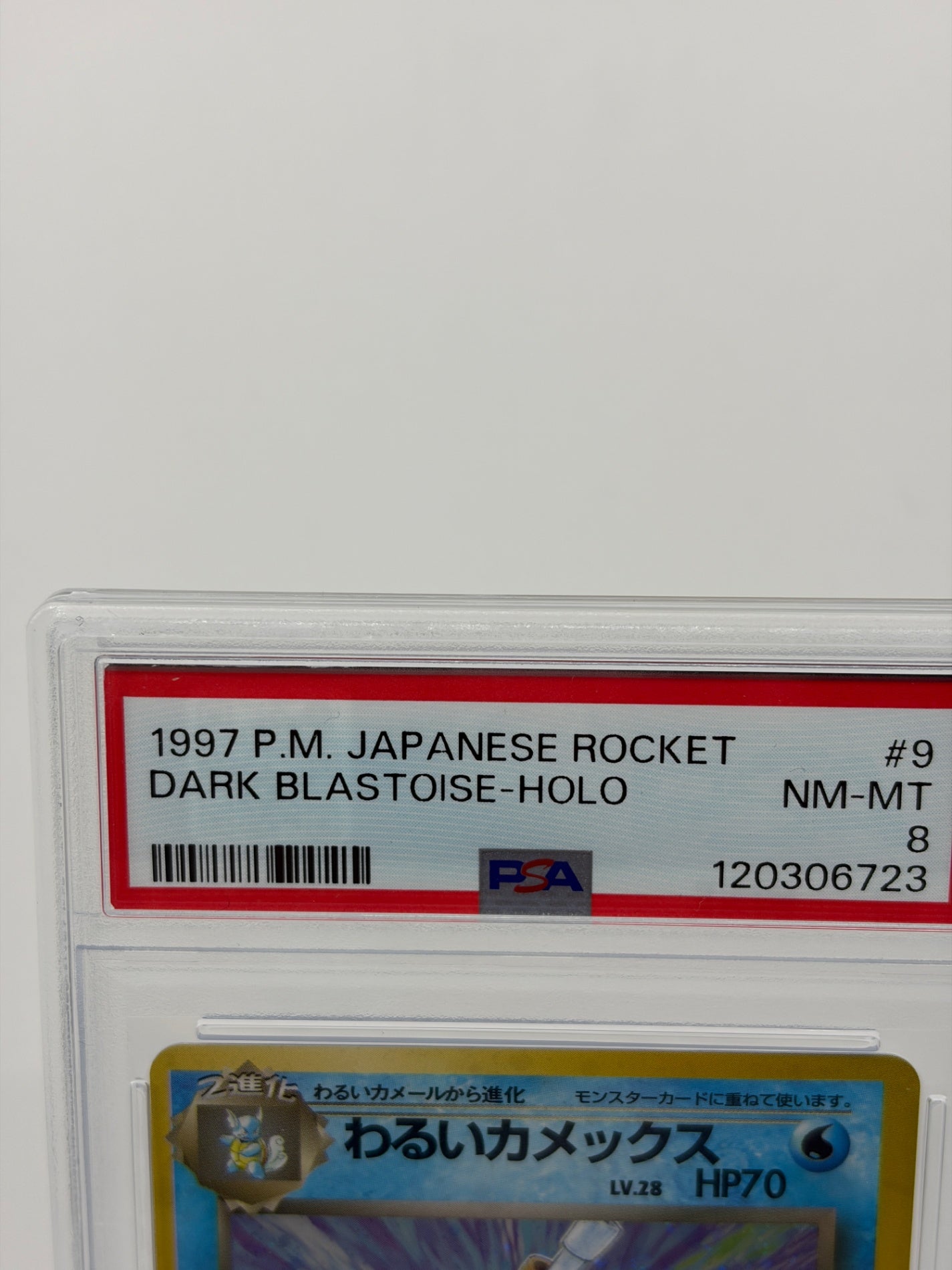 ポケモンカード PSA8 旧裏 わるいカメックス Lv.28 #9 NM-MT