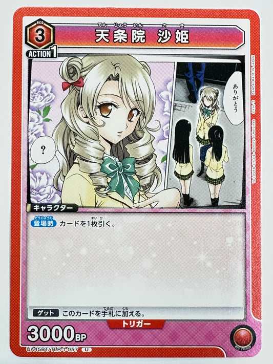 UA45BT/TLR-1-057U 天条院 沙姫