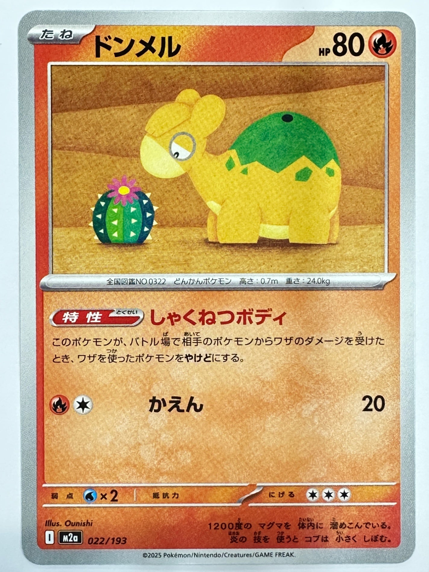 022/193 ドンメル