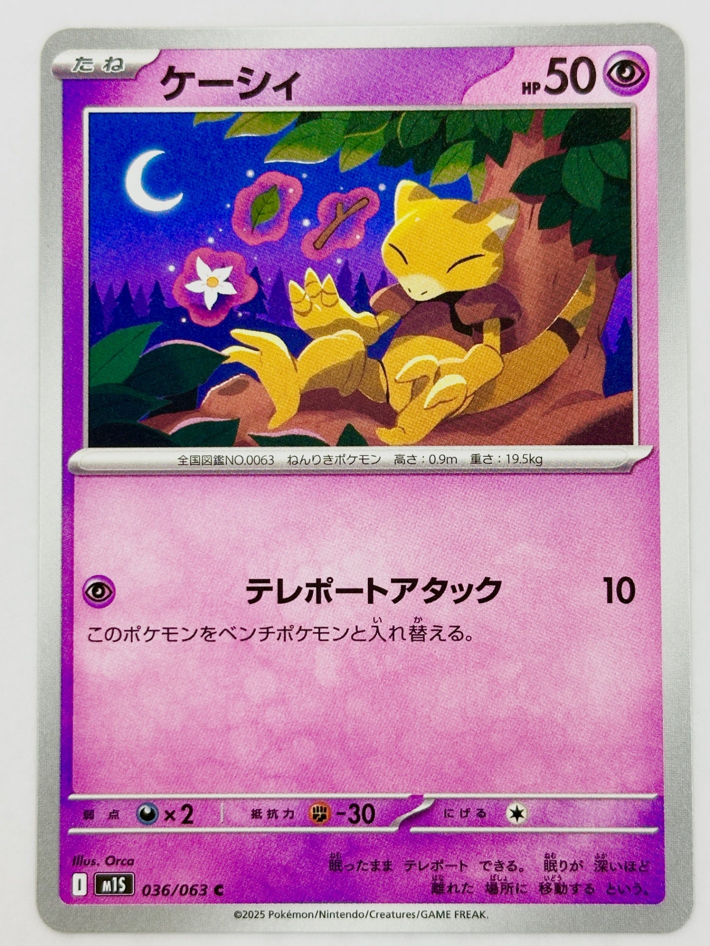 036/063 ケーシィ