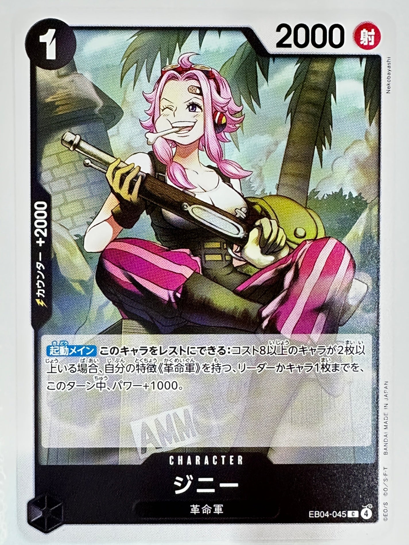 EB04-045 ジニー