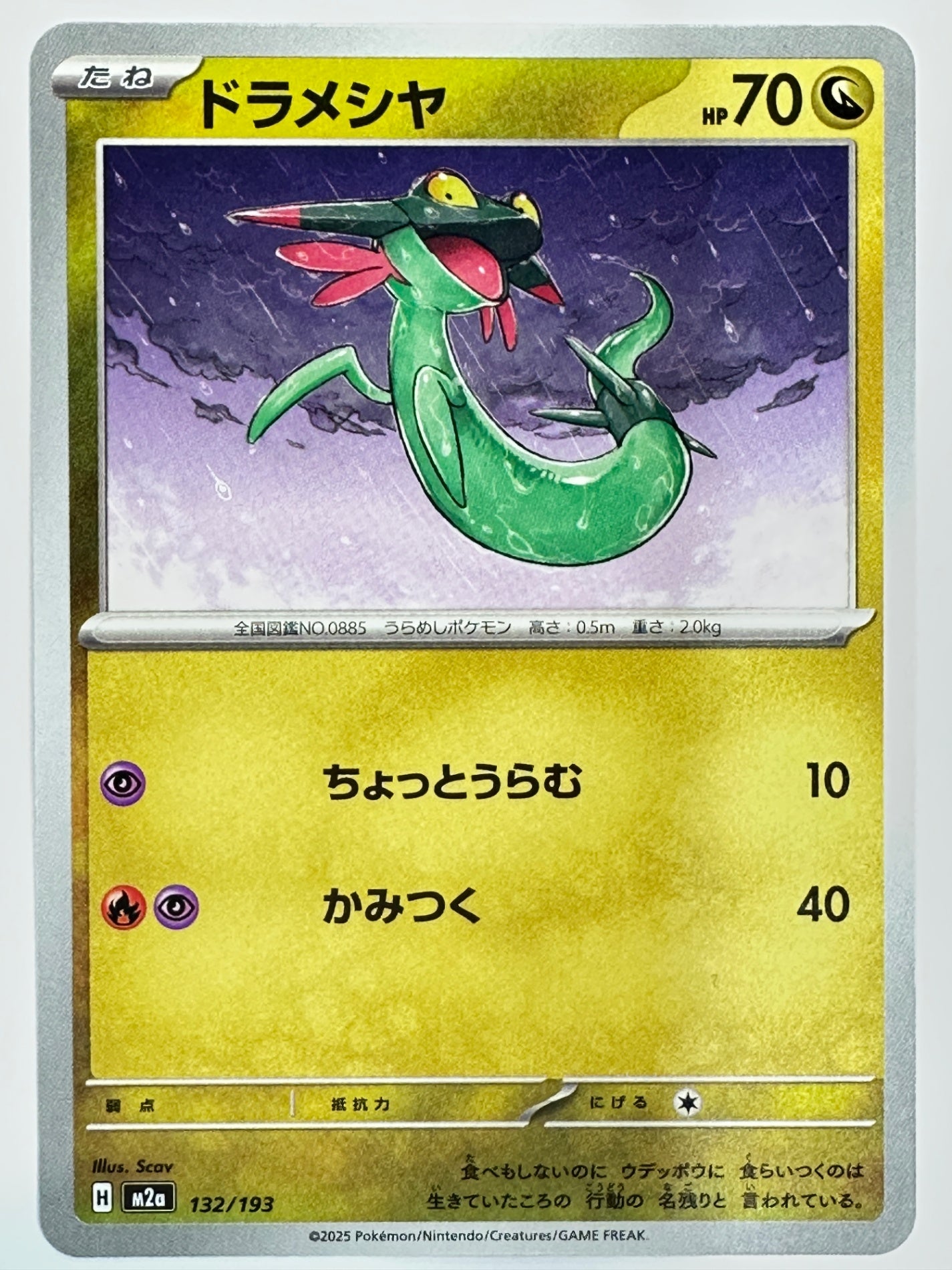 132/193 ドラメシヤ