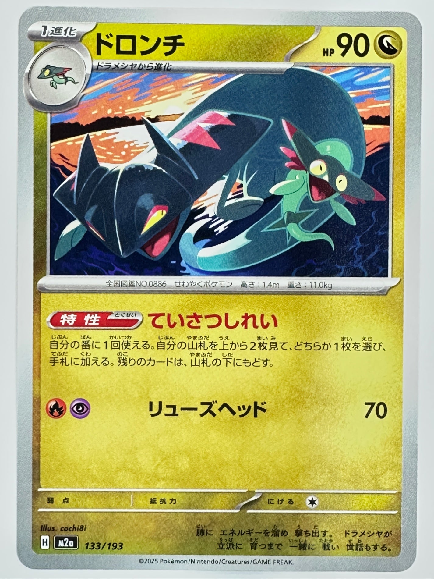 133/193 ドロンチ