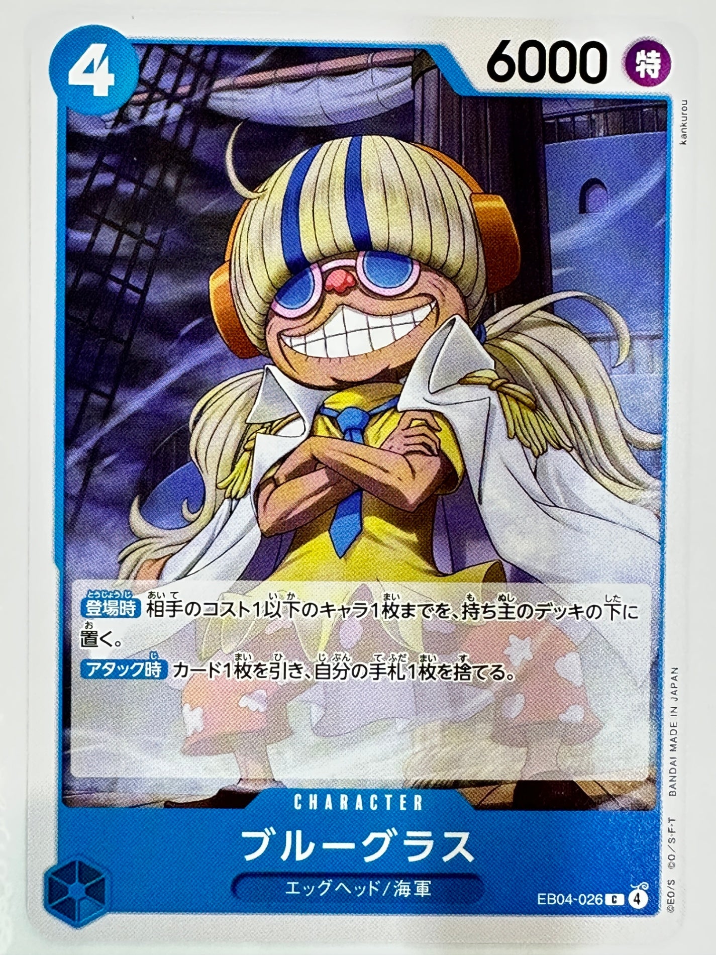 EB04-026 ブルーグラス