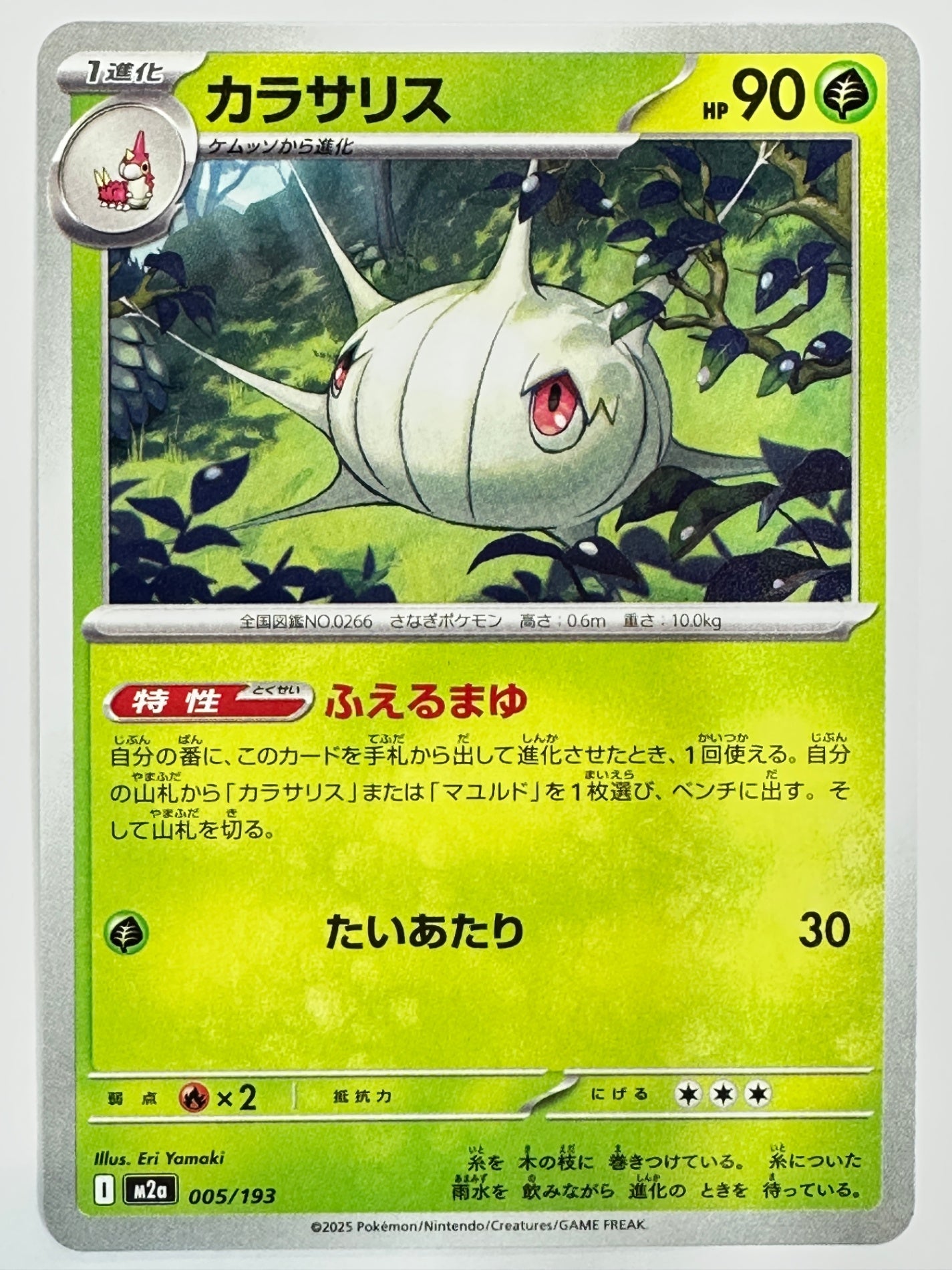 005/193 カラサリス