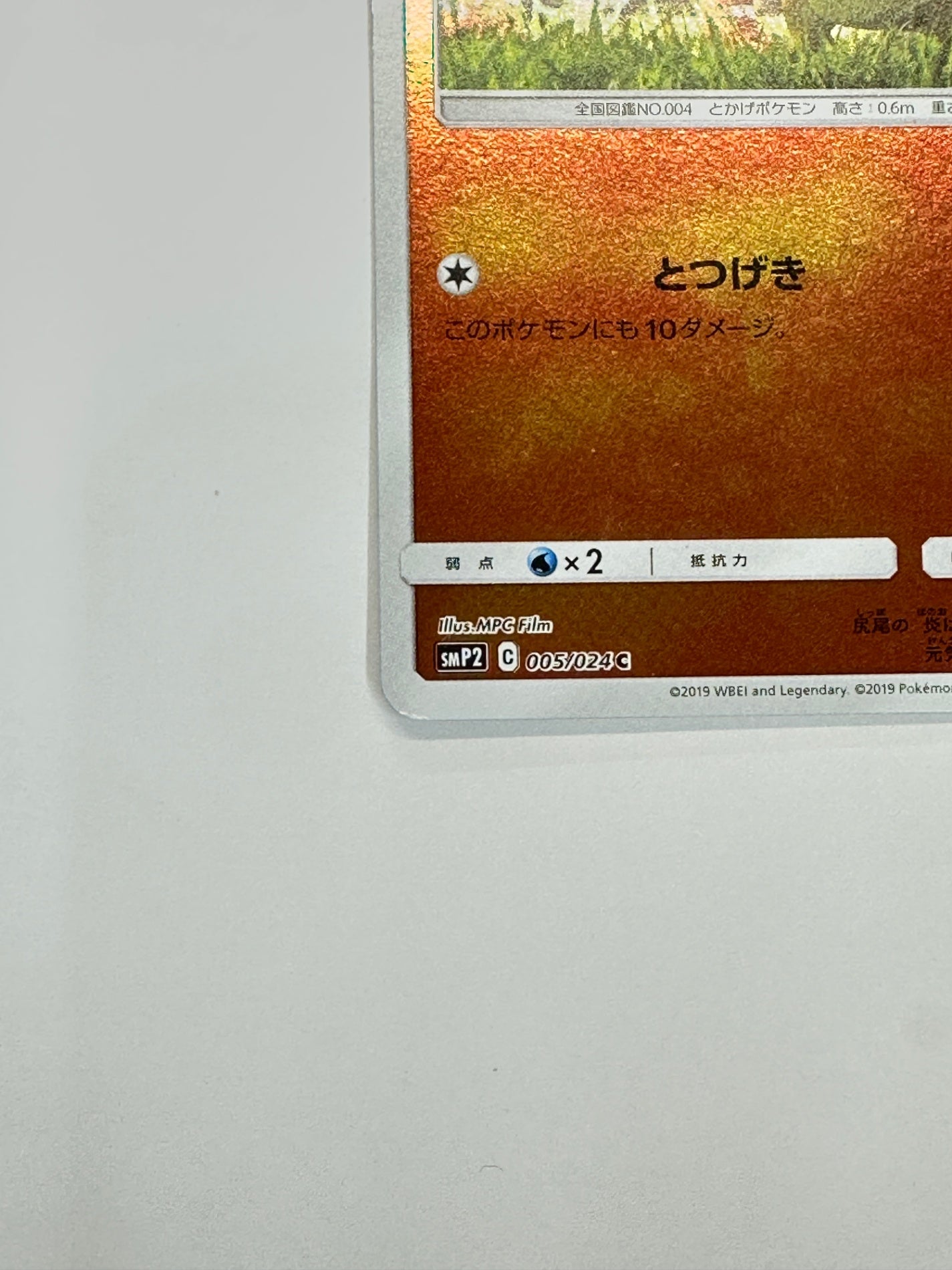 005/024 ヒトカゲ