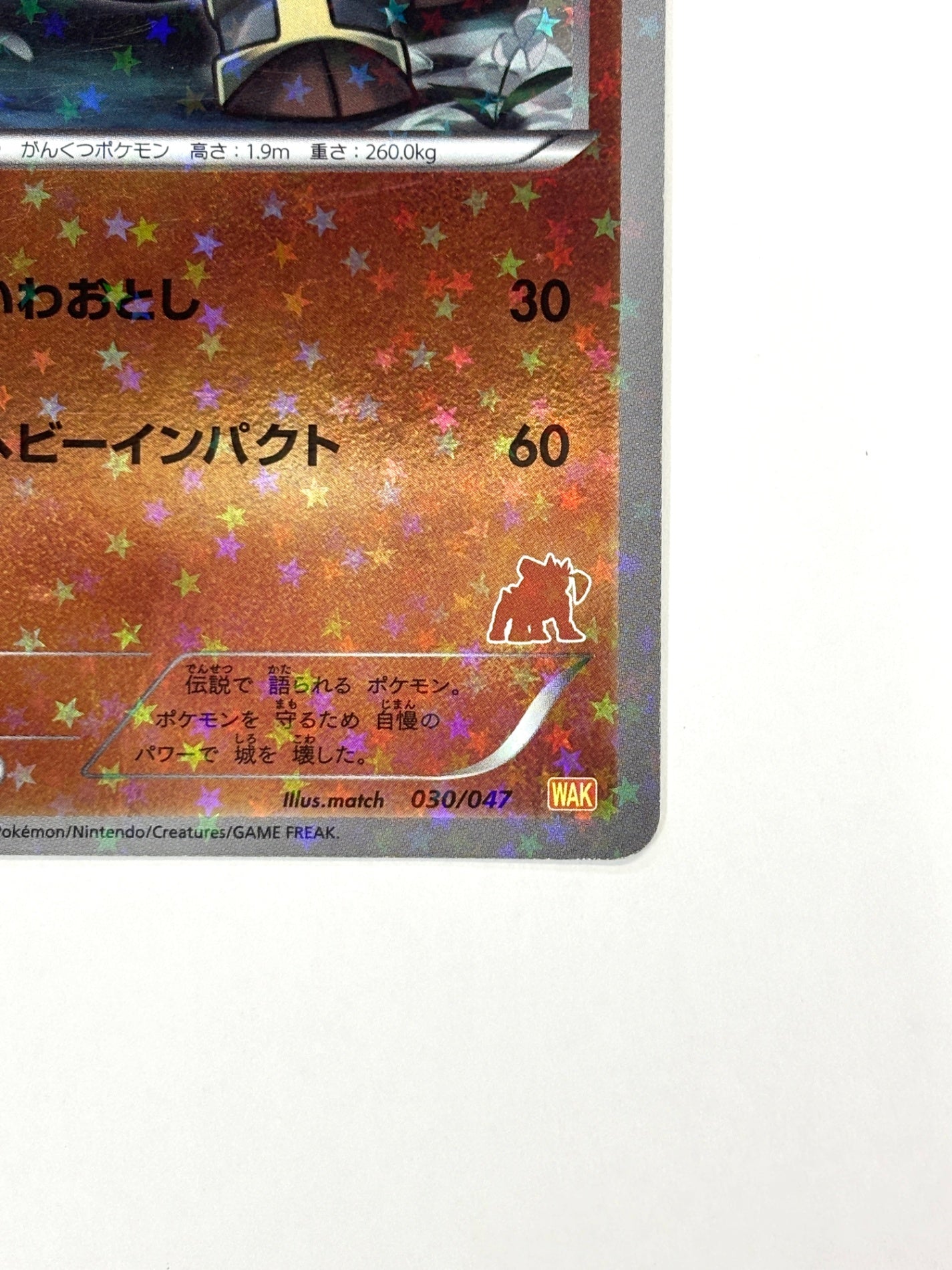 030/047 テラキオン(カード右下アイコン茶色)