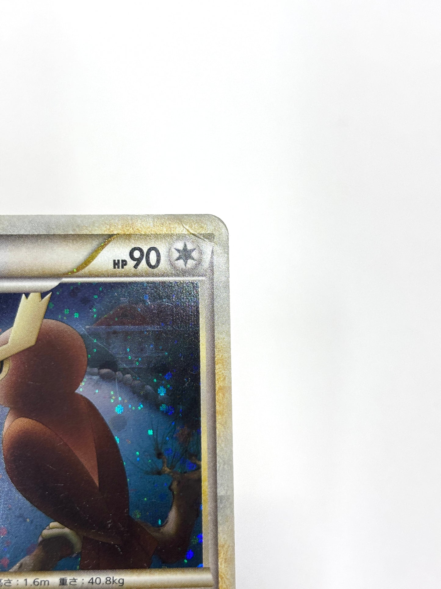 059/070 1ED)ヨルノズク