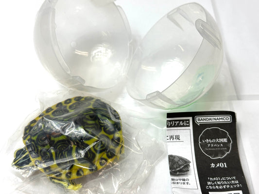 いきもの大図鑑 アドバンス カメ01 ミシシッピアカミミガメ ライトカラー BANDAI ガシャポン フィギュア 8/22