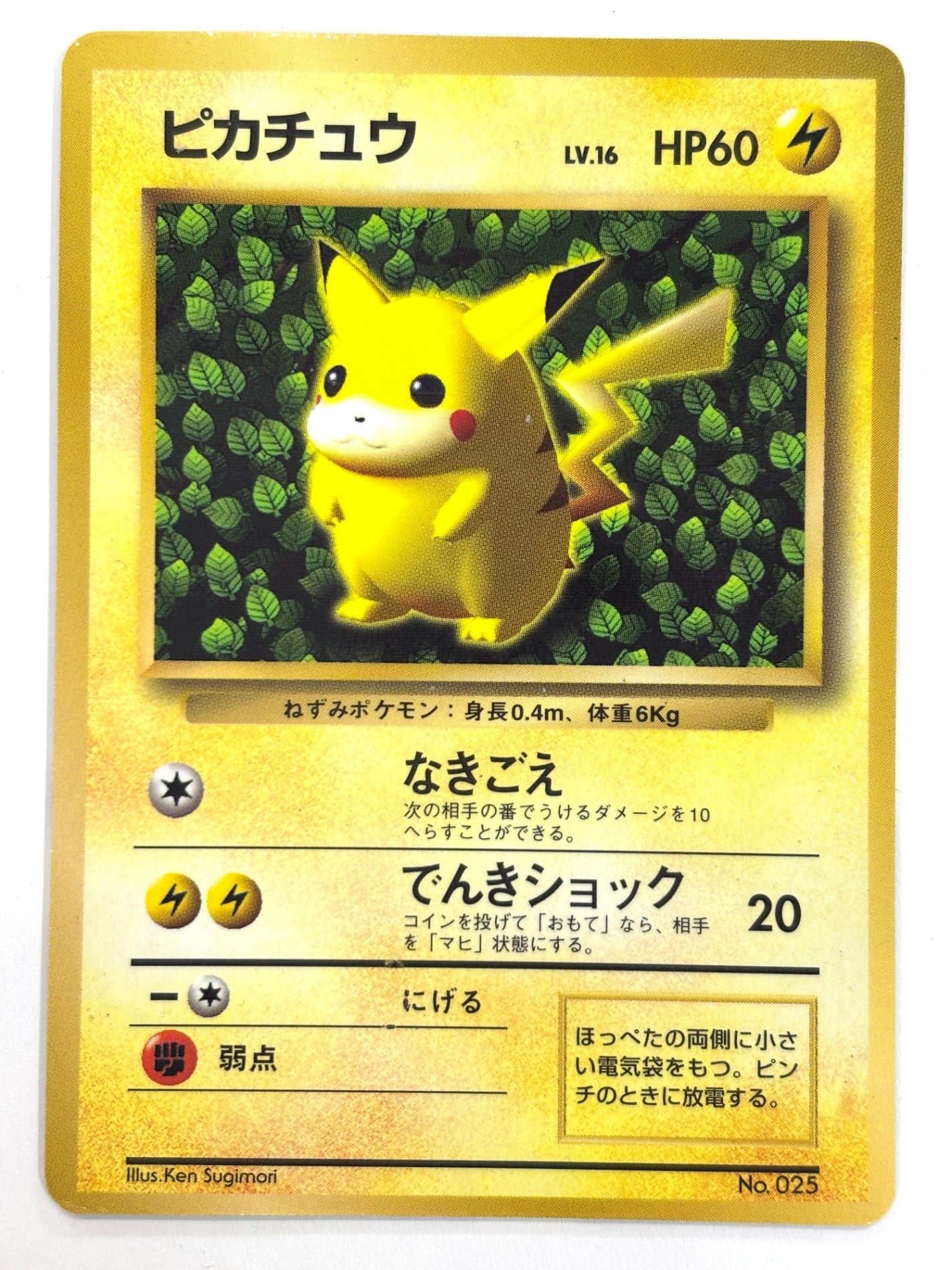 LV16HP60NO025-ORG/P ピカチュウ(Illus.Ken Sugimori)