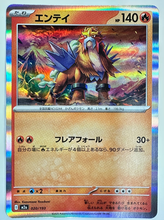 020/193 エンテイ