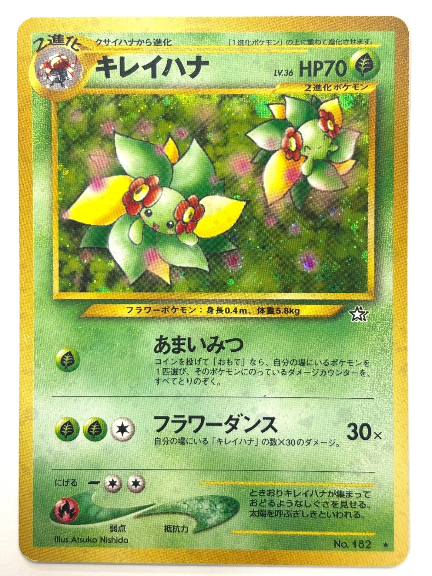 LV36HP70NO182-NEO1 キレイハナ(右中央:☆)