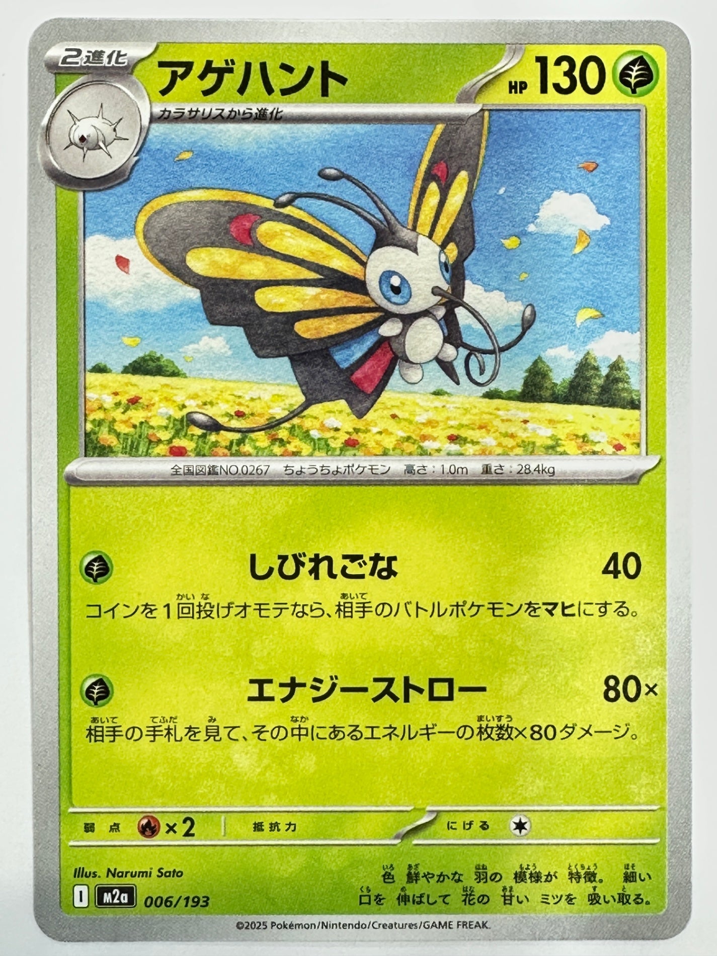 006/193 アゲハント