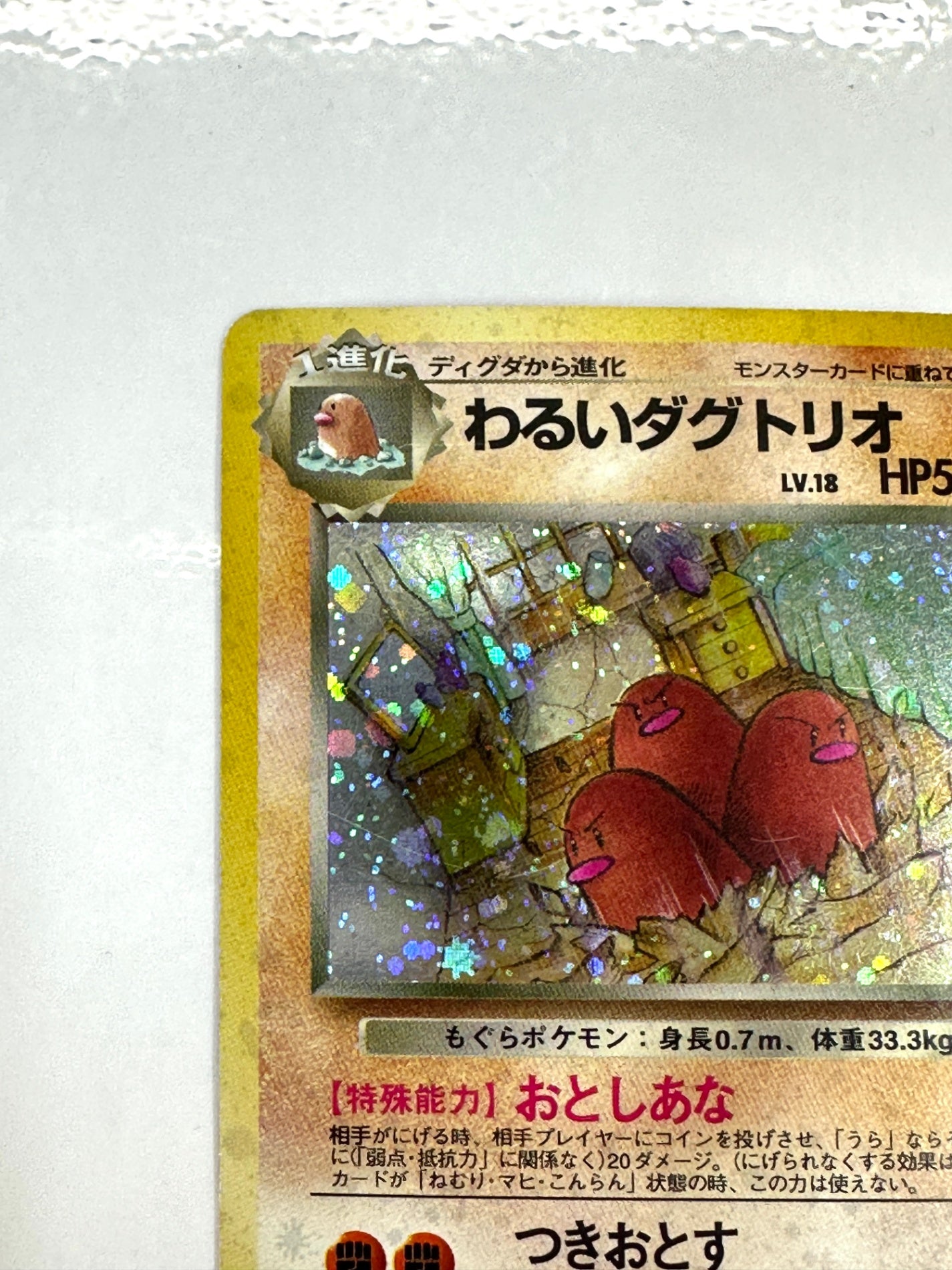 LV18HP50NO051-ORG4 わるいダグトリオ(右中央:R) 【状態C】