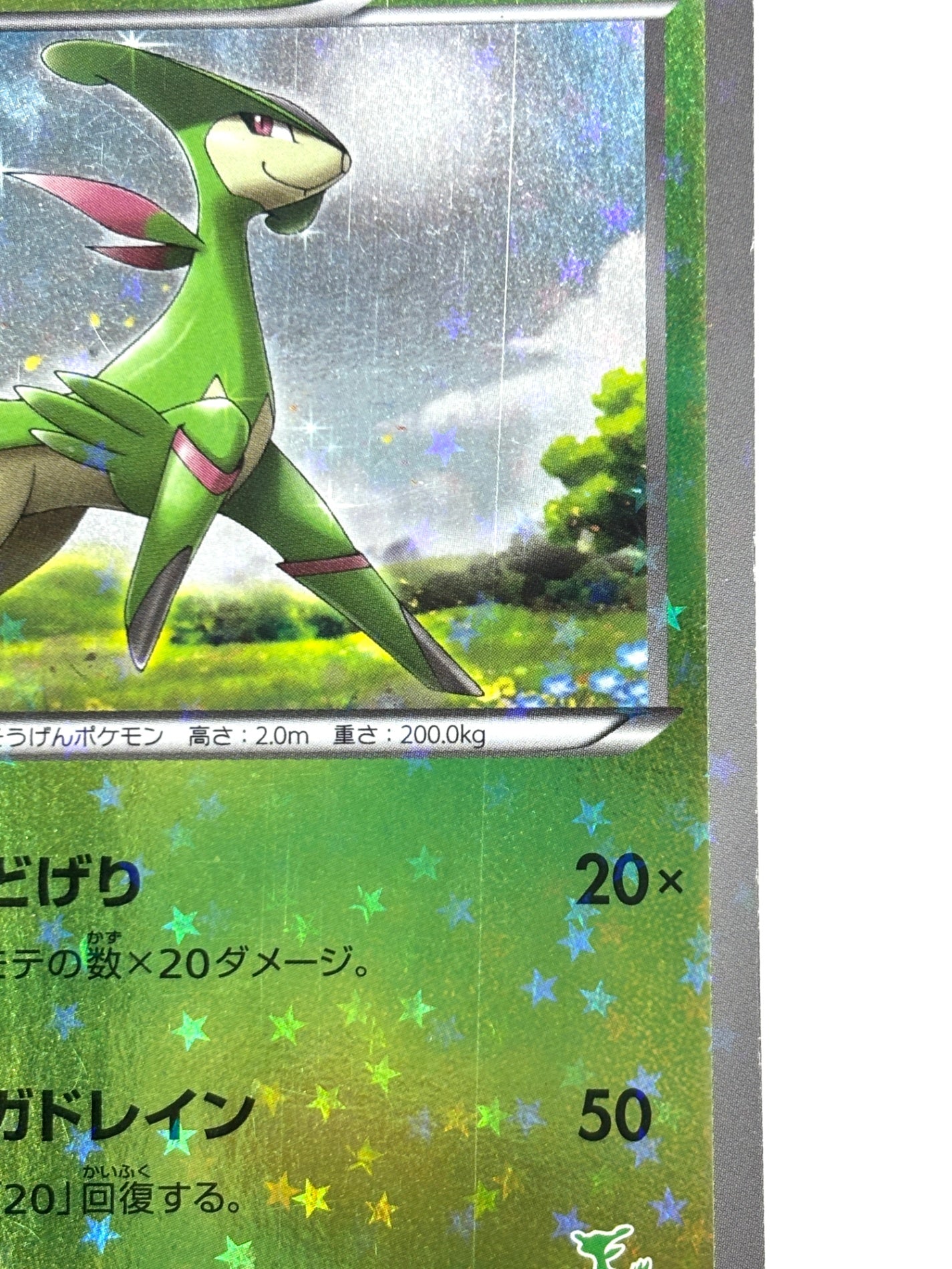 005/047 ビリジオン(カード右下アイコン緑色)