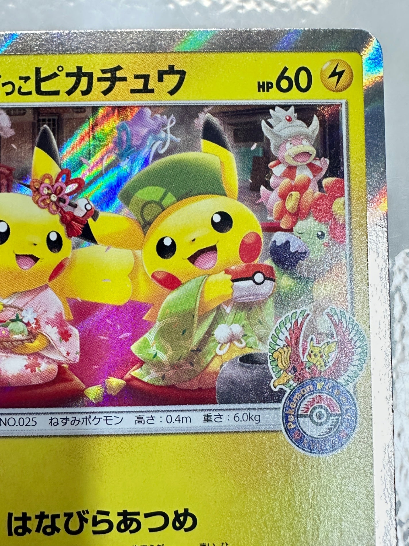 325/SM/P お茶会ごっこピカチュウ 【状態B】