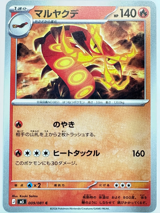 009/081 マルヤクデ